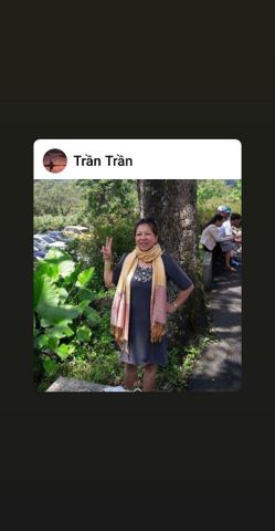Yến Trần