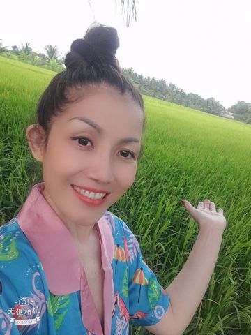 My Ngô
