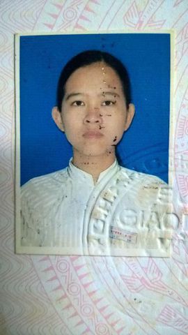 My Ngoc