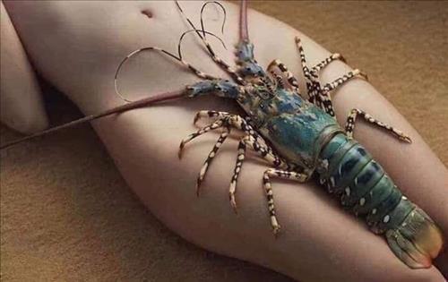 Tiên Hám Chuối 72