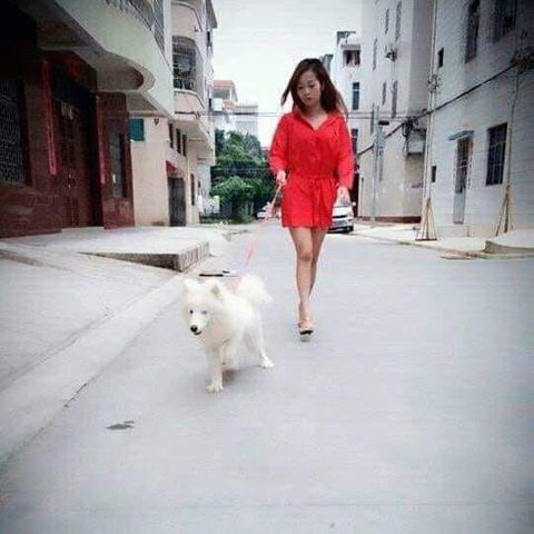 Lethanhhoa