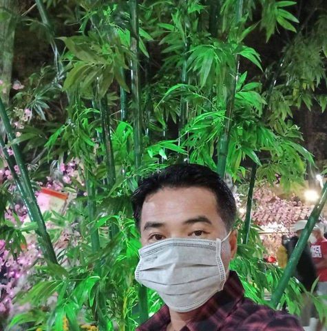 Sơn