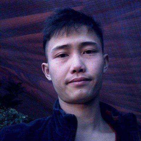 Hoàng phi Long
