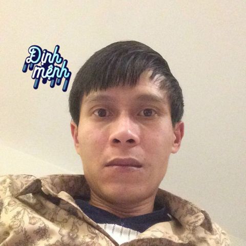 Dung