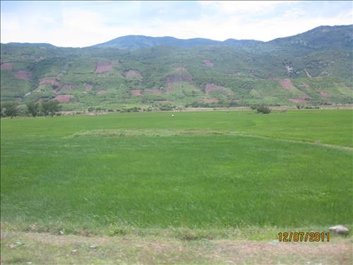 Sơn nữ