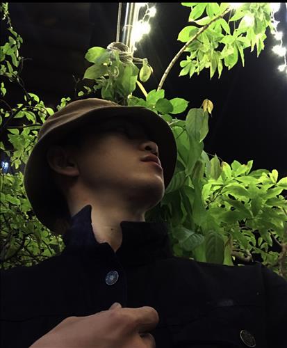 viet tran