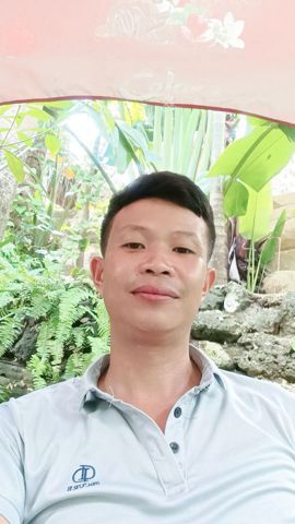 Thái Linh