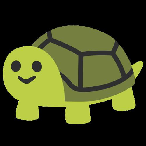 Rùa