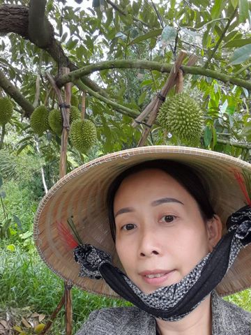 Trinh
