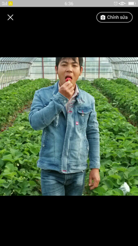 Viet