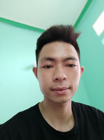 Tùng