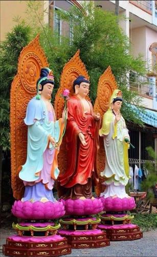 trần gia lạc