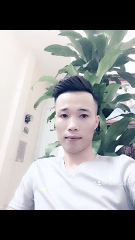 Trần Quỳnh