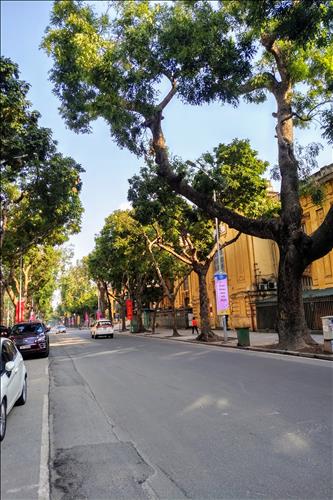 Trần Anh