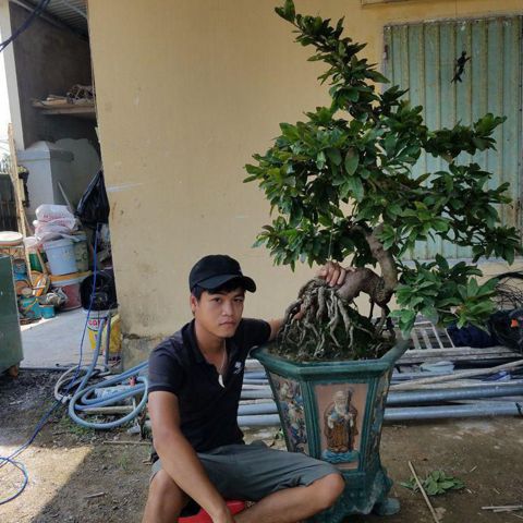 Thịnh
