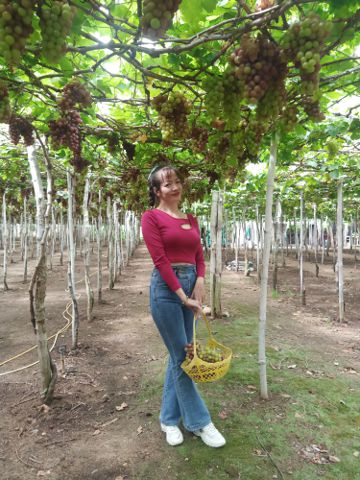 Quỳnh Như