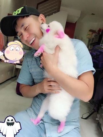 Nam khanh