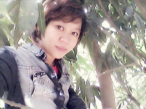 phuongnguyen