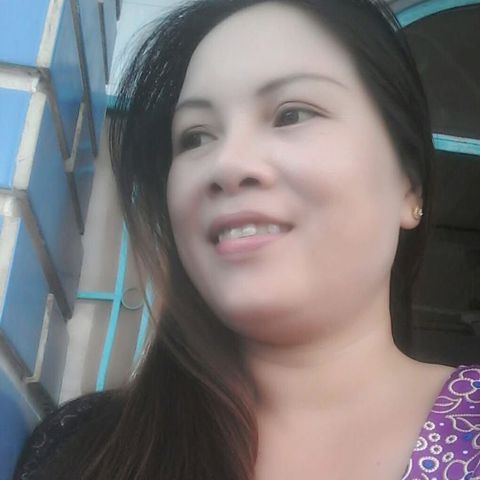 Ngô đồng