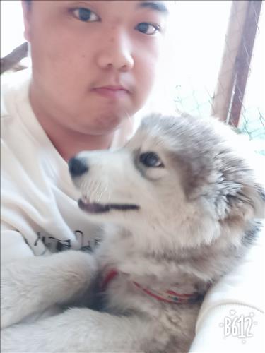 Huy Trung