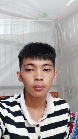 Ngô phú trí