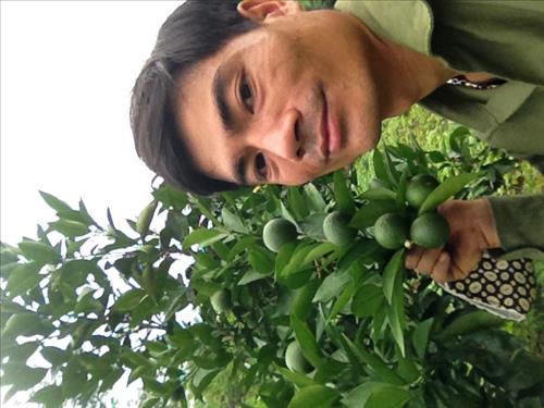 Văn Tiến
