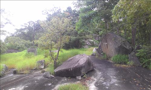 Nguyễn