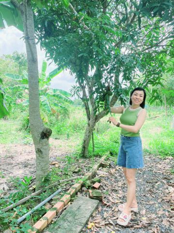Honghuynh