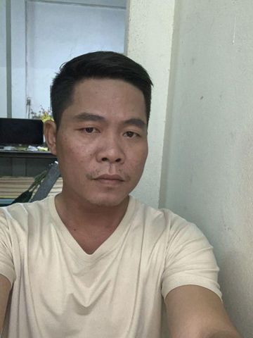HoangHoa86