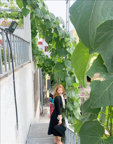 bích hồng
