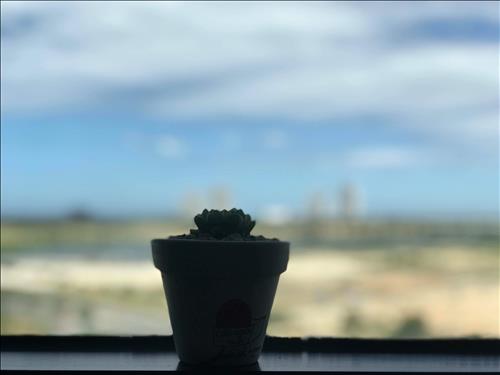 Lu