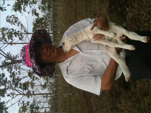 Bùi Phương