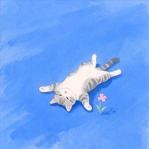 Chờ được tìm thấy...