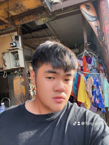 Tùng