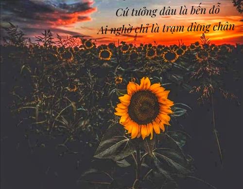 Giap Le