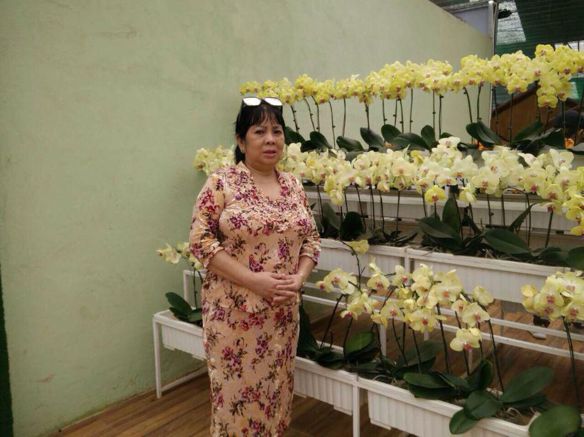 Thanh Loan