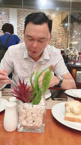 Hồng Việt