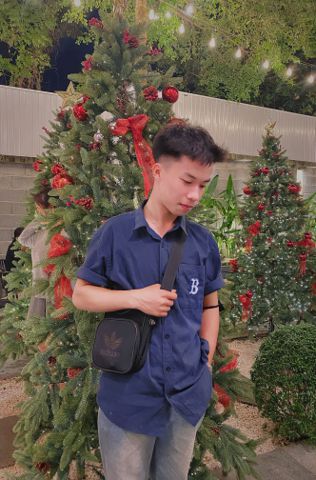 bùi quốc bảo