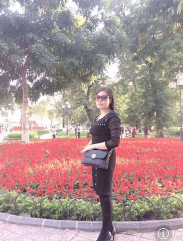 Hoa Hải đường