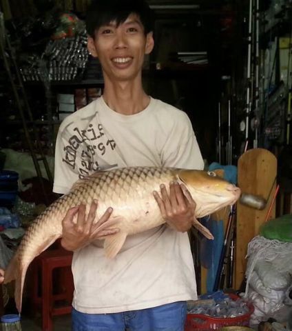 Thành( đa cấp không tiếp)...