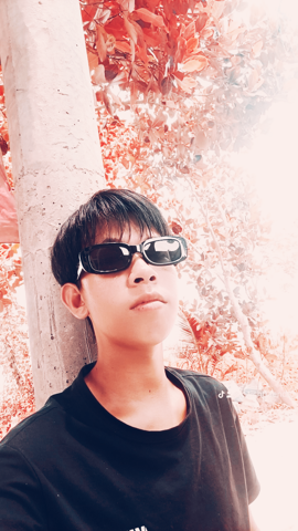 Trần Minh Trường
