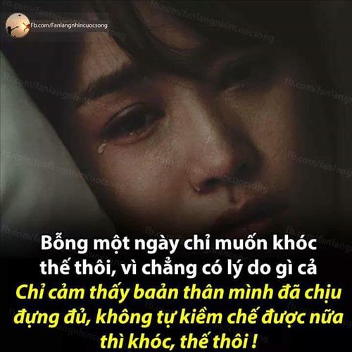 Bảo