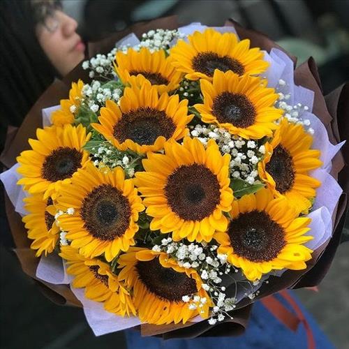 Hướng dương