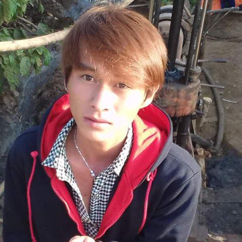 Thảo