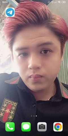 Việt