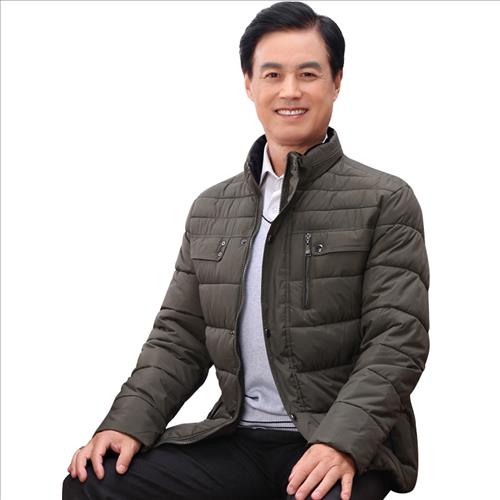 Việt Anh