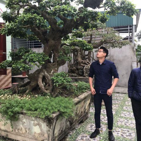 Nguyễn Quyền