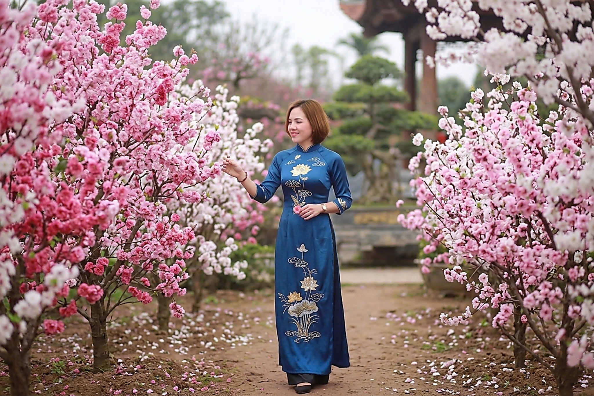 KH66851 | Nữ kết bạn bốn phương Hà Nội 1992 | M26-TT44 | 3.000.000 đ, kết bạn