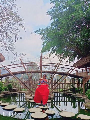 Nhìn Đời Rơi Lệ