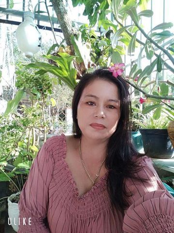 Kim Mai